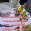 Buy K2 Paper Sheets Spray/Buy K2 Spray Liquid/Buy 5fadb,Buy 5cladba/Buy adb-butinaca/Buy jwh-018