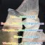 5cl/5cladba/adbb/precursors/6cladba/5cl-adb-a/6cl-adba/k2 paper spray sheets/Jwh-018/adb-butinaca/sy 0 5cl/5cladba/adbb/precursors/6cladba/5cl-adb-a/6cl-adba/k2 paper spray sheets/Jwh-018/adb-butinaca/sy 0