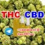THC THC-P HHC CBD  HHC-P  THC-B THC-H Sativex Nabiximols