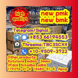 raw material,+85366194553,pmk,bmk,dmf,DMF,eutylone,3mmc,2fdck,28981-97-7