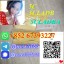 5cladba adbb Precusor 5C