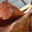 Tamimpartner