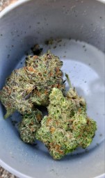 whatsapp ☎ +1 4784120391 to Buy CBD OIL,buy weed, Powerful Strains of weed,buy weed    TELEgram @mad