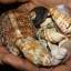 + 256702530886Penis enlargement spells that works immediately+ 256702530886 Private Spells EXTREME D
