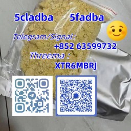 5cladba-adbb-precurso 5cladba-adbb-precurso