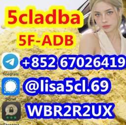 5CL-ADB-A Strongest research chemical cannabinoid 5cl-adb-a 5cladba yellow Powder
