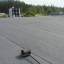 Кровельные Работы Днепр любой сложности 1 Кровельные Работы Днепр любой сложности 1