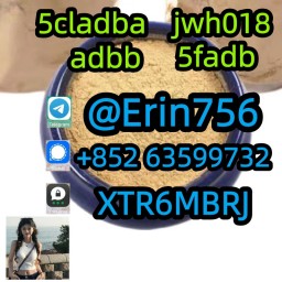 5cladba 5f-adb adbb 5-cl-adb-a 5cladb jwh018 5fadb