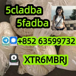 5CLADBA Raw material 5cl precursor 5cl precursor powder 5cladba 137350-66-4 5f-adb adbb 5CLADBA Raw material 5cl precursor 5cl precursor powder 5cladba 137350-66-4 5f-adb adbb
