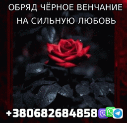 Приворотный Обряд Чёрное Венчание