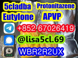 Protonitazene CAS 119276-01-6