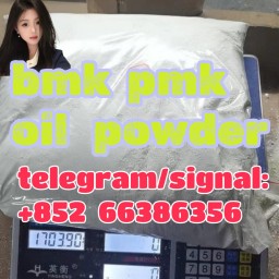 bmk pmk oil powder  人的提高人体