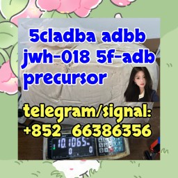 5cladba adbb jwh-018 5f-adb precursor  风格和人阿文