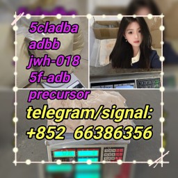 5cladba adbb jwh-018 5f-adb precursor  和发电供热