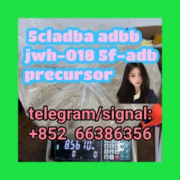 5cladba adbb jwh-018 5f-adb precursor  从复古风格