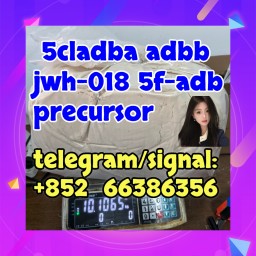 5cladba adbb jwh-018 5f-adb precursor  二厄特特