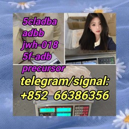 5cladba adbb jwh-018 5f-adb precursor  返回换个韩国