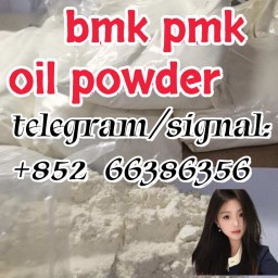 bmk pmk oil powder  更符合甲方供货的法国