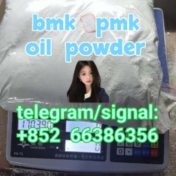 bmk pmk oil powder  的韩国和对方