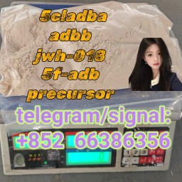 5cladba adbb jwh-018 5f-adb precursor  鬼画符恢复他