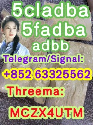 5cladba raw material 5CL-ADB-A precursor raw 5cladba 5f adb 4fadb 5cladba raw material 5CL-ADB-A precursor raw 5cladba 5f adb 4fadb