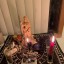 +2349132649238 I WANT TO JOIN REAL MONEY OCCULT IN GHANA 0 +2349132649238 I WANT TO JOIN REAL MONEY OCCULT IN GHANA 0
