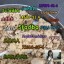 5CL-ADB China Supplier 5cl 5cladba 5cladb