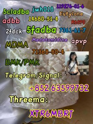 5F-AB-PINACA,5F-ADB,5cladb,5cladba,5cladbb,adbb，precursor