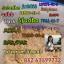 5cl adb 5CL 5cladba 5cl raw materials