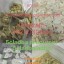 5cladba Original Producpt Name 5clAdba Synonyms 5clAdba CAS NO. 137350-66-4 Purity Above 99