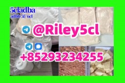 5cladba raw material 5CL-ADB-A precursor raw  5cladba 5f adb 4fadb