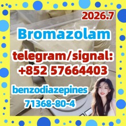CAS 71368-80-4 Bromazolam