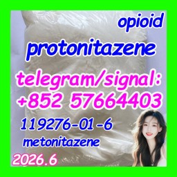 CAS: 119276-01-6 Protonitazene (hydrochloride)