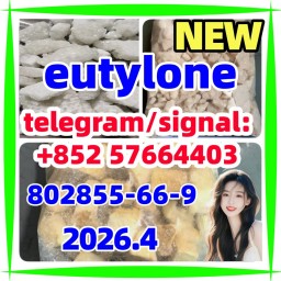 EUTYLONE 802855-66-9 by Hebei