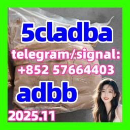 5cladba 5cl 5c 5cladb 5cl-adb-a, Adbb/adb-binaca Adb-butinaca Double Clearance Customs at Best 5cladba 5cl 5c 5cladb 5cl-adb-a, Adbb/adb-binaca Adb-butinaca Double Clearance Customs at Best