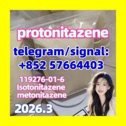 Protonitazene hydrochloride | 119276-01-6 opioid  isotonitazene metonitazene