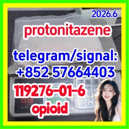 CAS 119276-01-6 Protonitazene (hydrochloride)