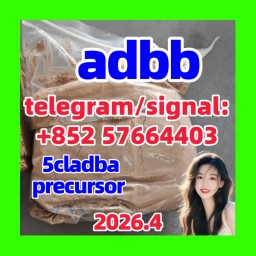 Bromazolam Cas 71368-80-4 at Best Price
