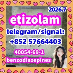 etizolam 40054-69-1