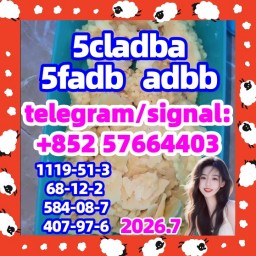 99% pure 5cl adbb 5cladba 5cladbb precusor raw powder with best price