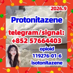 CAS 119276-01-6 Protonitazene