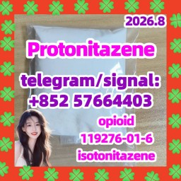 Protonitazene 119276-01-6 Protonitazen
