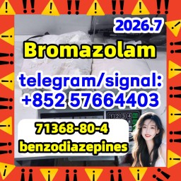 Cas 71368-80-4 Bromazolam 99.8% white powder