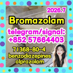 High quality cas.71368-80-4 Brozolam