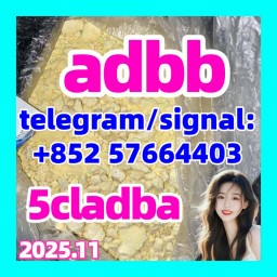 5CLADBA China supplier 5CL-ADB-A adbb 5fadb 5cladb 5CLADBA China supplier 5CL-ADB-A adbb 5fadb 5cladb