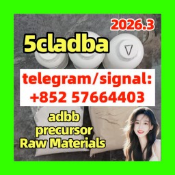Strong Cannabinoids adbb adb-butinaca 5cladba 5fadb k2 powder spice for sale
