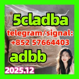 Discover the power of 5cladba, Amb-fubinaca, 4f-adb, 4FADB, 6Cladba, and GBH! Discover the power of 5cladba, Amb-fubinaca, 4f-adb, 4FADB, 6Cladba, and GBH!