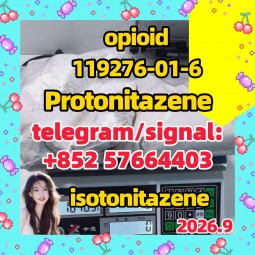 CAS 119276-01-6 Protonitazene