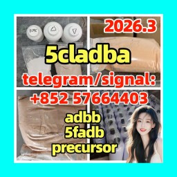 5cladba raw material 5CL-ADB-A precursor raw 5cladba 5f adb